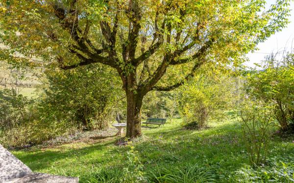 Maison à vendre    7 pièces •  Marcillac-Vallon