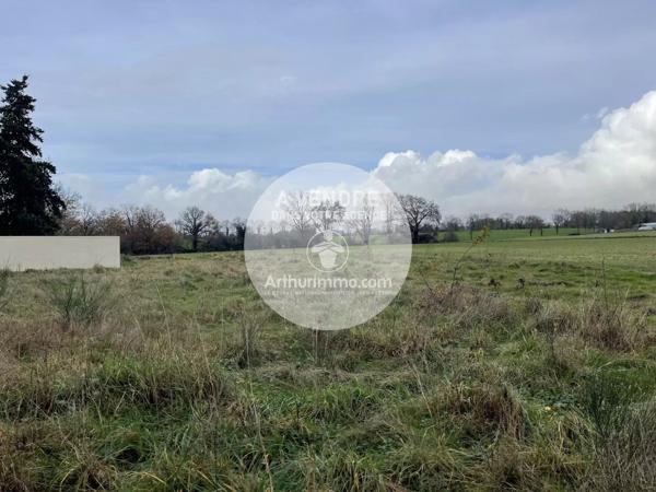 Vente                                                      Terrain
                        
                                         920 m2                     à Carquefou
