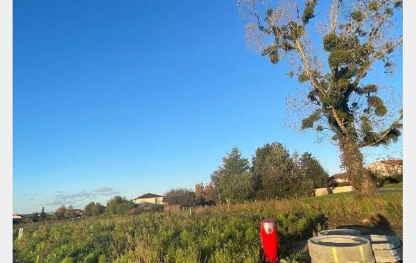 Vente Terrain Feillens   