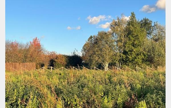 Vente Terrain Feillens   