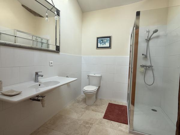 Maison en pierre avec 4 chambres, grange attenante terrain autour