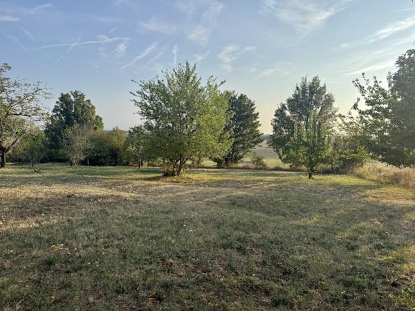Maison en pierre avec 4 chambres, grange attenante terrain autour
