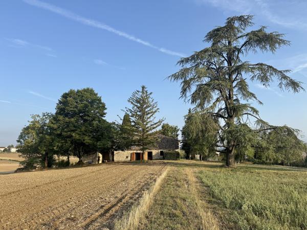 Maison en pierre avec 4 chambres, grange attenante terrain autour