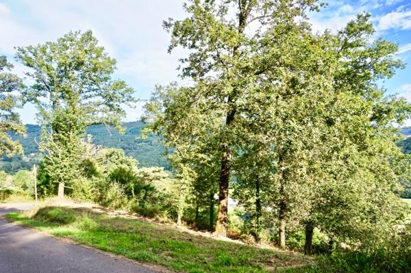 Terrain 1200 m2