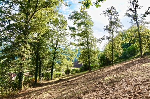 Terrain 1200 m2