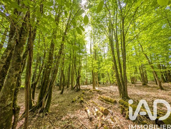 Maison à vendre 15 pièces 395 m² Les Billanges