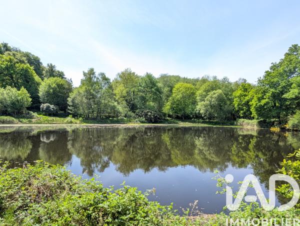Maison à vendre 15 pièces 395 m² Les Billanges
