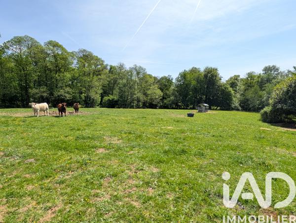 Maison à vendre 15 pièces 395 m² Les Billanges