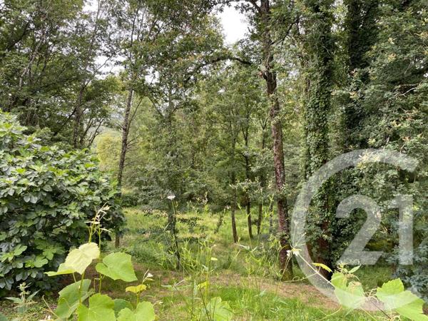 Maison à vendre  4 pièces - 147 m2 BRIGNAC LA PLAINE - 19