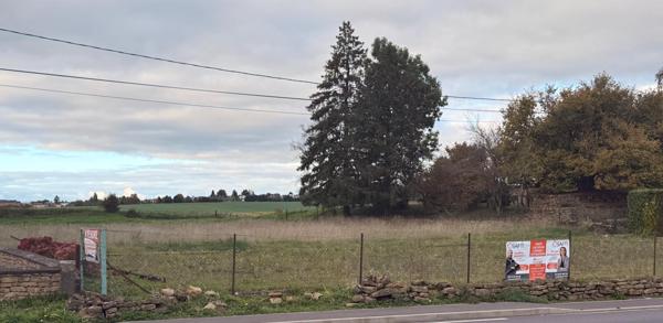 Terrain constructible 990 m2 viabilisé, plat et libre de constructeur