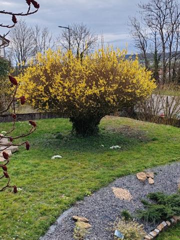 Maison en trés bon etat , proche des commerces,