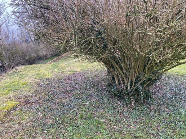 Maison en trés bon etat , proche des commerces,