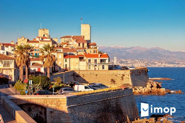 Coup de coeur Imop Carré D'or