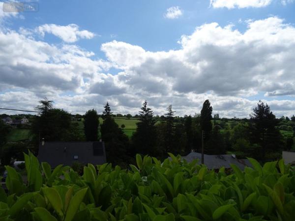 Maison à vendre à Saint-Jean-sur-Mayenne en Mayenne (53240), ref : 53079-1380