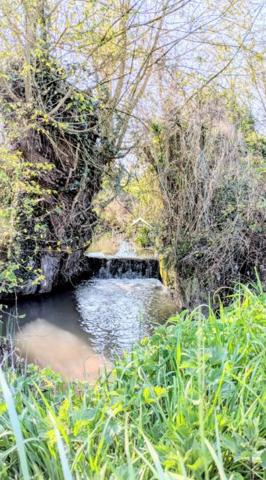 Ancien corp de ferme avec beaucoup de potentiel