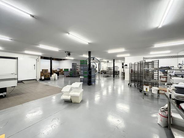 Local d'activité comme neuf La Madeleine 720 m2