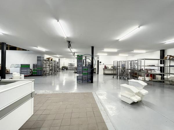 Local d'activité comme neuf La Madeleine 720 m2