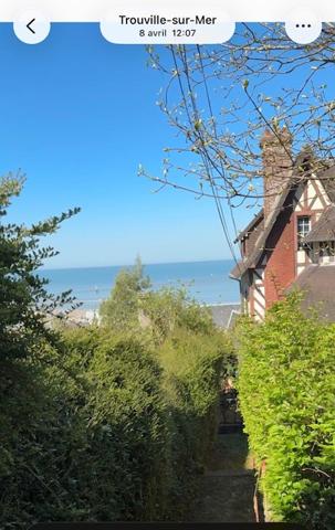 Trouville-sur-Mer (14360) STUDIO VUE MER EN VIAGER OCCUPE