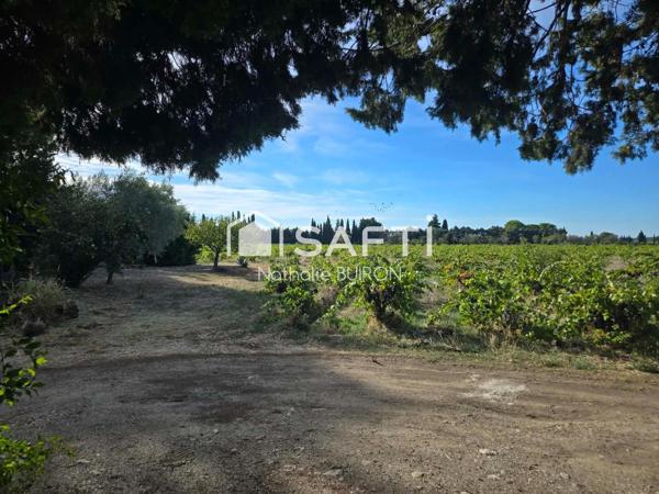 Belle maison a vendre Ste Cecile les vignes