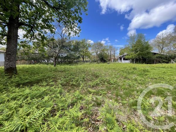 Terrain à vendre  989 m2 HOURTIN - 33