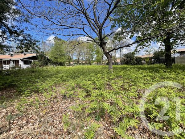 Terrain à vendre  989 m2 HOURTIN - 33