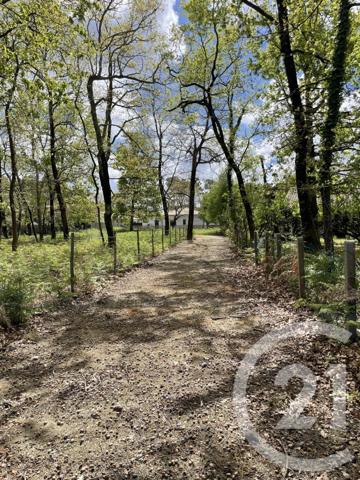 Terrain à vendre  989 m2 HOURTIN - 33