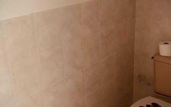 Immeuble à vendre    11 pièces •  Fraize