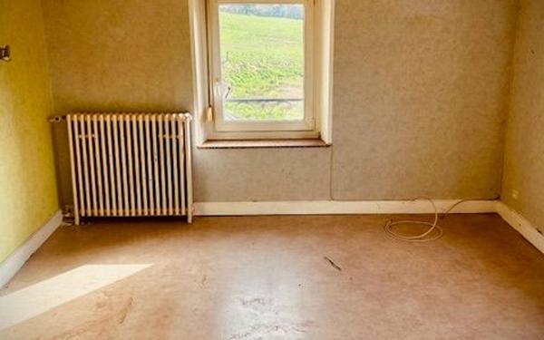 Immeuble à vendre    11 pièces •  Fraize