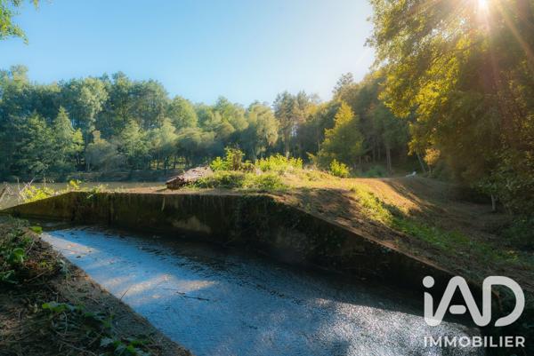 Terrain à vendre 25 196 m² Champsac