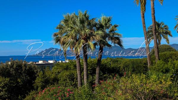 Appartement Cannes Basse Californie 2 pièce(s) 58 m2 vue mer