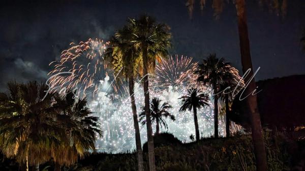 Appartement Cannes Basse Californie 2 pièce(s) 58 m2 vue mer