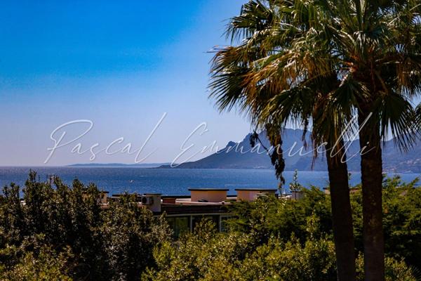 Appartement Cannes Basse Californie 2 pièce(s) 58 m2 vue mer