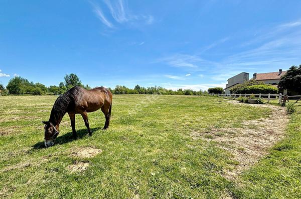 Propriété à fort potentiel d'exploitation ! Gîtes, Centre Équestre, Loisir à Montauban