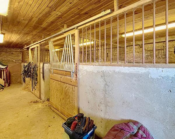 Propriété à fort potentiel d'exploitation ! Gîtes, Centre Équestre, Loisir à Montauban