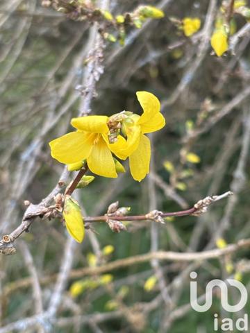 Maison à vendre 6 pièces 220 m² Chepniers