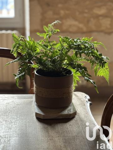 Maison à vendre 6 pièces 220 m² Chepniers