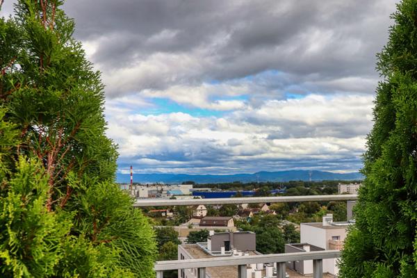 Appartement Strasbourg 6 pièces 191 m2