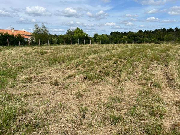 Terrain à vendre de 4 360 m² constructibles LE FOUILLOUX (17)