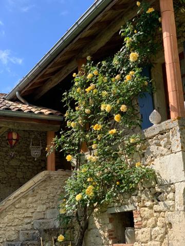 Maison à vendre 6 pièces MASSOULES (47)