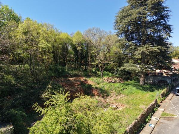 Vente / Terrain