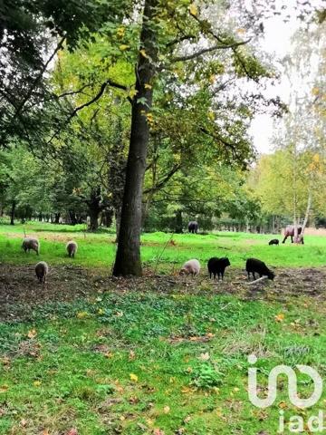 Maison à vendre 14 pièces 368 m² Fère-en-Tardenois