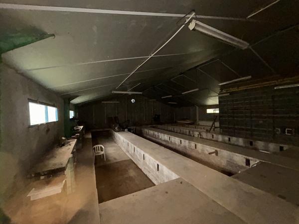 Bâtiment comprenant un logement 3 pièces de 81 m2 + 2 locaux de 365 m2