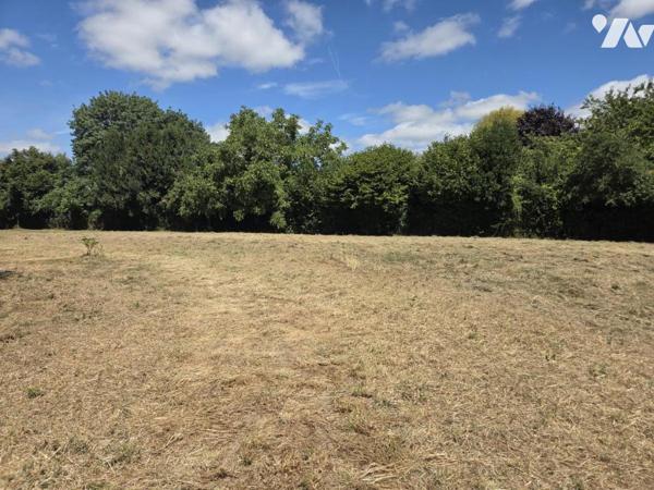 Terrain constructible non viabilisé d'une surface de 3.600 m² environ