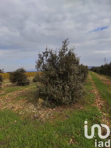 Terrain à vendre 5 708 m² Sainte-Cécile-les-Vignes