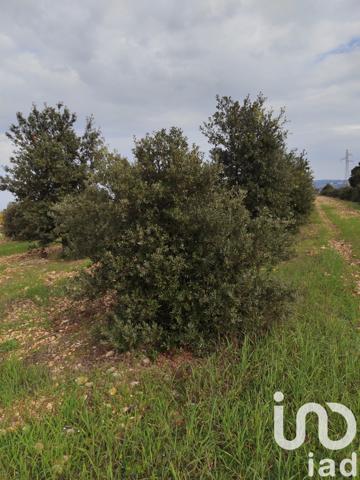 Terrain à vendre 5 708 m² Sainte-Cécile-les-Vignes