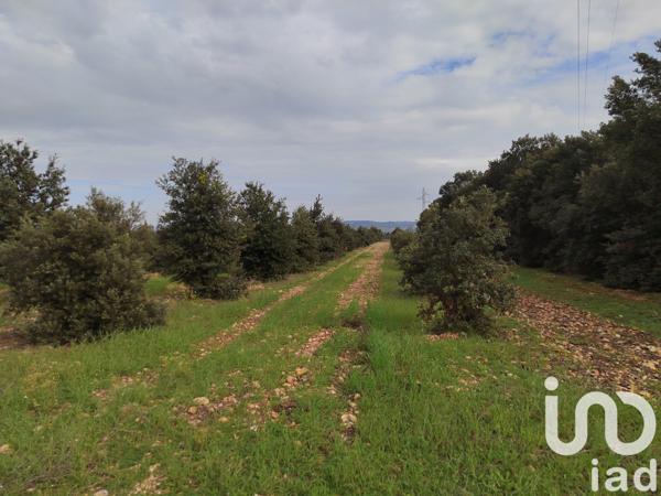 Terrain à vendre 5 708 m² Sainte-Cécile-les-Vignes