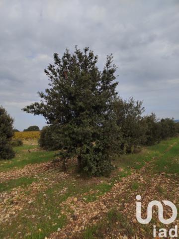 Terrain à vendre 5 708 m² Sainte-Cécile-les-Vignes