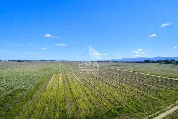 Perpignan "Mas Saint Pierre" : appartement à vendre 3 pièces avec terrasse, cave et parking
