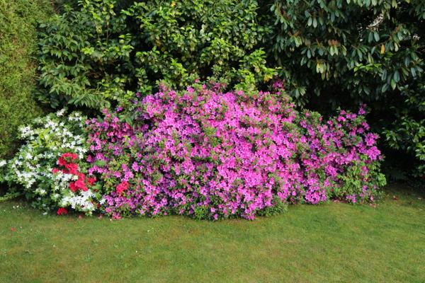 Dpt Yvelines (78), à vendre VERSAILLES maison P10 de 231,1 m² - Terrain de 906,00 m²