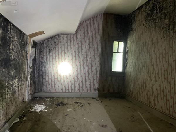 Maison à restaurer à vendre à Ribérac en Dordogne (24600), ref : 077/1587